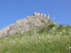 Burg bei Coltesti (1).jpg